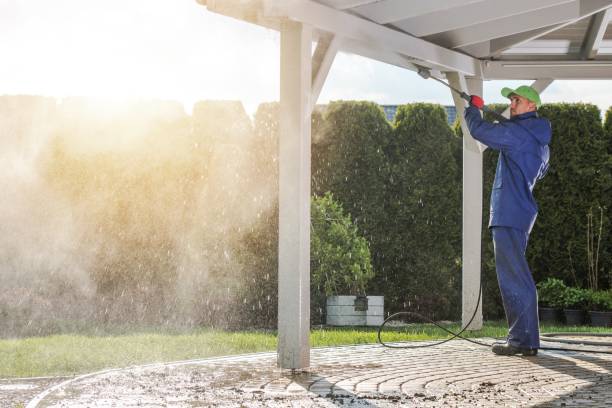 Best Dumpster Area Cleaning  in Reno, OH